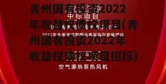 青州国有投资2022年收益权债权项目(青州国有投资2022年收益权债权项目招标)