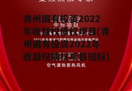 青州国有投资2022年收益权债权项目(青州国有投资2022年收益权债权项目招标)