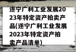 遂宁广利工业发展2023年特定资产拍卖产品(遂宁广利工业发展2023年特定资产拍卖产品清单)