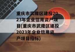 重庆市武隆区建投2023年企业信用资产项目(重庆市武隆区建投2023年企业信用资产项目招标)