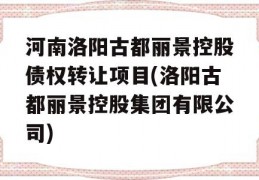 河南洛阳古都丽景控股债权转让项目(洛阳古都丽景控股集团有限公司)