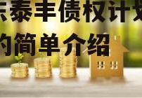 山东泰丰债权计划2023的简单介绍