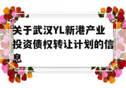 关于武汉YL新港产业投资债权转让计划的信息