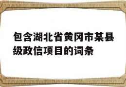 包含湖北省黄冈市某县级政信项目的词条