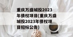 重庆万盛城投2023年债权项目(重庆万盛城投2023年债权项目招标公告)