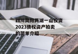 四川简阳两湖一山投资2023债权资产拍卖的简单介绍