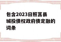 包含2023日照莒县城投债权政府债定融的词条