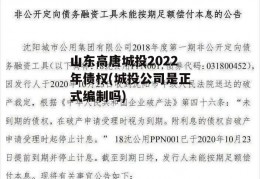 山东高唐城投2022年债权(城投公司是正式编制吗)