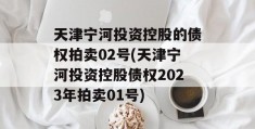 天津宁河投资控股的债权拍卖02号(天津宁河投资控股债权2023年拍卖01号)