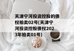 天津宁河投资控股的债权拍卖02号(天津宁河投资控股债权2023年拍卖01号)