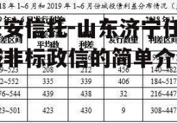 长安信托-山东济宁任城非标政信的简单介绍