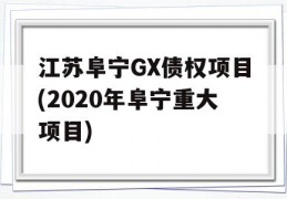 江苏阜宁GX债权项目(2020年阜宁重大项目)