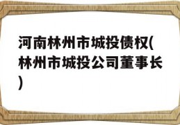 河南林州市城投债权(林州市城投公司董事长)