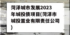 菏泽城市发展2023年城投债项目(菏泽市城投置业有限责任公司)