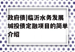 政府债|临沂水务发展城投债定融项目的简单介绍