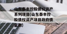 山东泰丰控股债权资产系列项目(山东泰丰控股债权资产项目政府债定融)