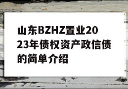 山东BZHZ置业2023年债权资产政信债的简单介绍