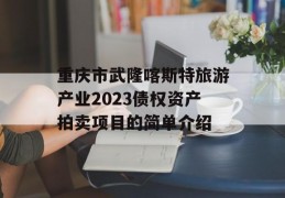 重庆市武隆喀斯特旅游产业2023债权资产拍卖项目的简单介绍