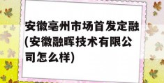 安徽亳州市场首发定融(安徽融晖技术有限公司怎么样)