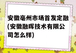 安徽亳州市场首发定融(安徽融晖技术有限公司怎么样)