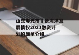 山东寿光市昇景海洋发展债权2023融资计划的简单介绍