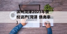 滨州菏泽2023年债权资产(菏泽 债务率)