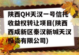 陕西QH天汉一号信托收益权转让项目(陕西西咸新区秦汉新城天汉投资有限公司)