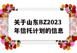 关于山东BZ2023年信托计划的信息