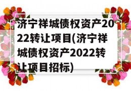 济宁祥城债权资产2022转让项目(济宁祥城债权资产2022转让项目招标)