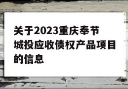 关于2023重庆奉节城投应收债权产品项目的信息