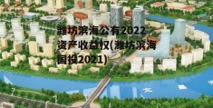 潍坊滨海公有2022资产收益权(潍坊滨海国投2021)