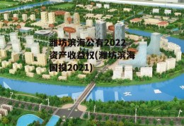 潍坊滨海公有2022资产收益权(潍坊滨海国投2021)