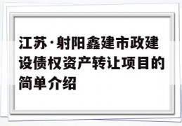 江苏·射阳鑫建市政建设债权资产转让项目的简单介绍