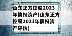 山东正方控股2023年债权资产(山东正方控股2023年债权资产评估)