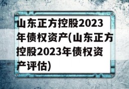 山东正方控股2023年债权资产(山东正方控股2023年债权资产评估)