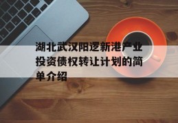 湖北武汉阳逻新港产业投资债权转让计划的简单介绍