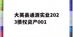 大英县通源实业2023债权资产001