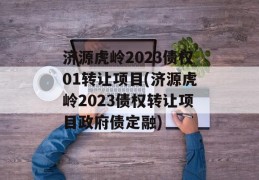 济源虎岭2023债权01转让项目(济源虎岭2023债权转让项目政府债定融)