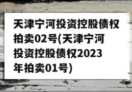 天津宁河投资控股债权拍卖02号(天津宁河投资控股债权2023年拍卖01号)