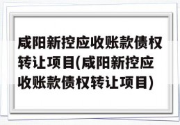 咸阳新控应收账款债权转让项目(咸阳新控应收账款债权转让项目)