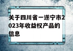 关于四川省一遂宁市2023年收益权产品的信息