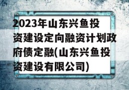 2023年山东兴鱼投资建设定向融资计划政府债定融(山东兴鱼投资建设有限公司)