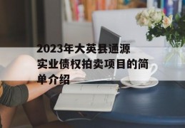 2023年大英县通源实业债权拍卖项目的简单介绍