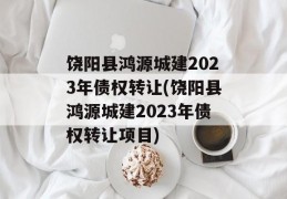 饶阳县鸿源城建2023年债权转让(饶阳县鸿源城建2023年债权转让项目)