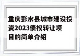 重庆彭水县城市建设投资2023债权转让项目的简单介绍