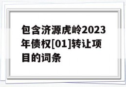 包含济源虎岭2023年债权[01]转让项目的词条