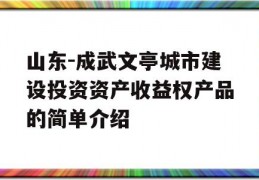 山东-成武文亭城市建设投资资产收益权产品的简单介绍