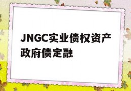 JNGC实业债权资产政府债定融