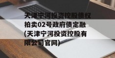 天津宁河投资控股债权拍卖02号政府债定融(天津宁河投资控股有限公司官网)