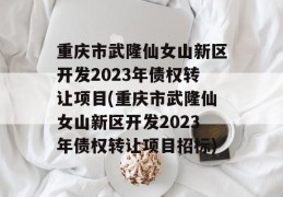 重庆市武隆仙女山新区开发2023年债权转让项目(重庆市武隆仙女山新区开发2023年债权转让项目招标)